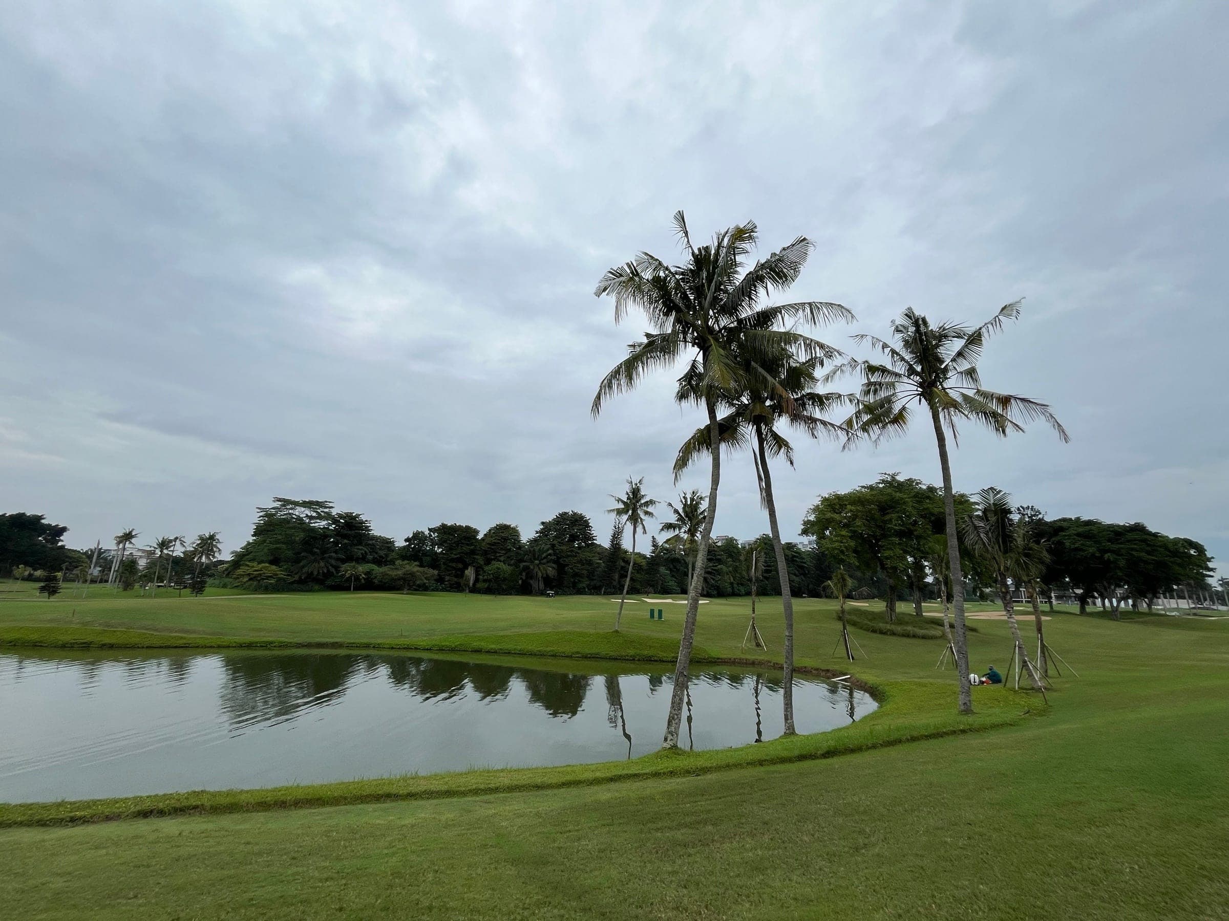 Golf course fairway with a pond and tall palm trees under a cloudy sky, the kind of setting we work with for landscaping in Rancho Viejo, TX