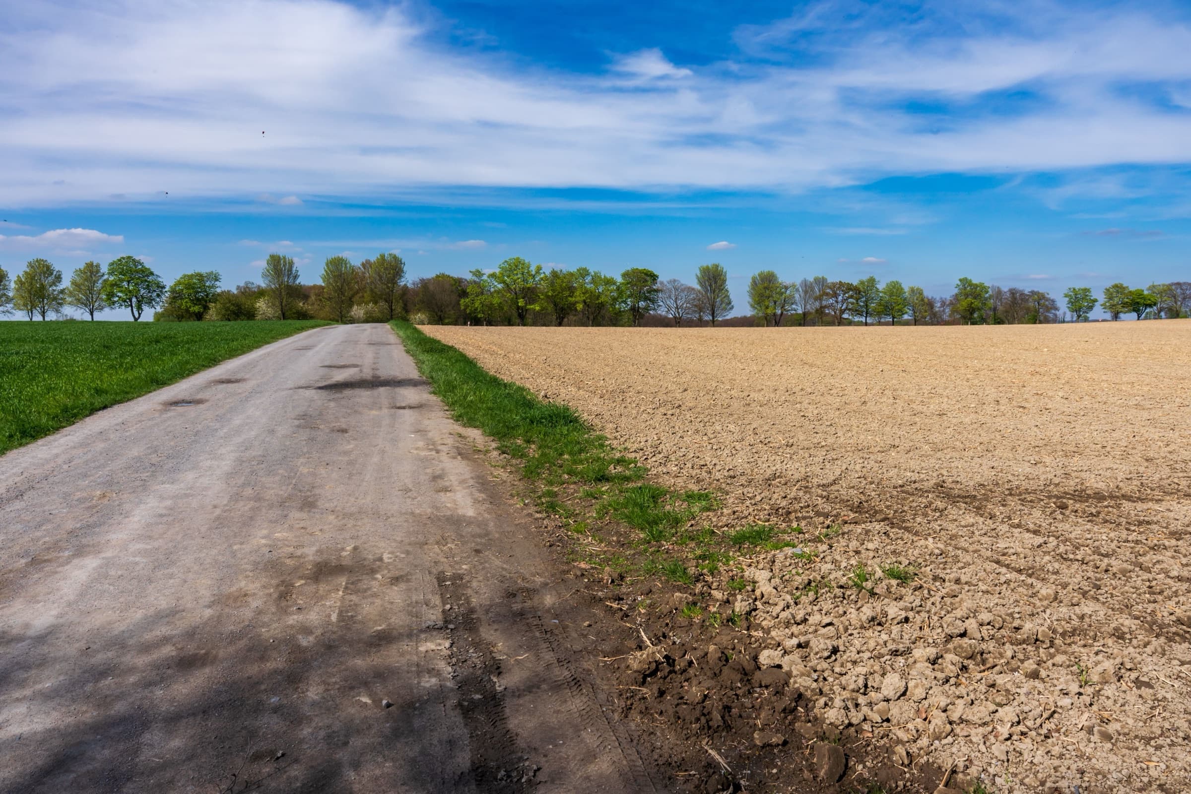 Country road beside a plowed farm field with a line of trees under a blue sky, the kind of setting we work with for landscaping in Rio Hondo, TX